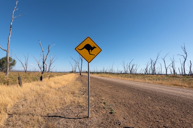 Strada sterrata nell'outback australiano con segnale di attraversamento canguri