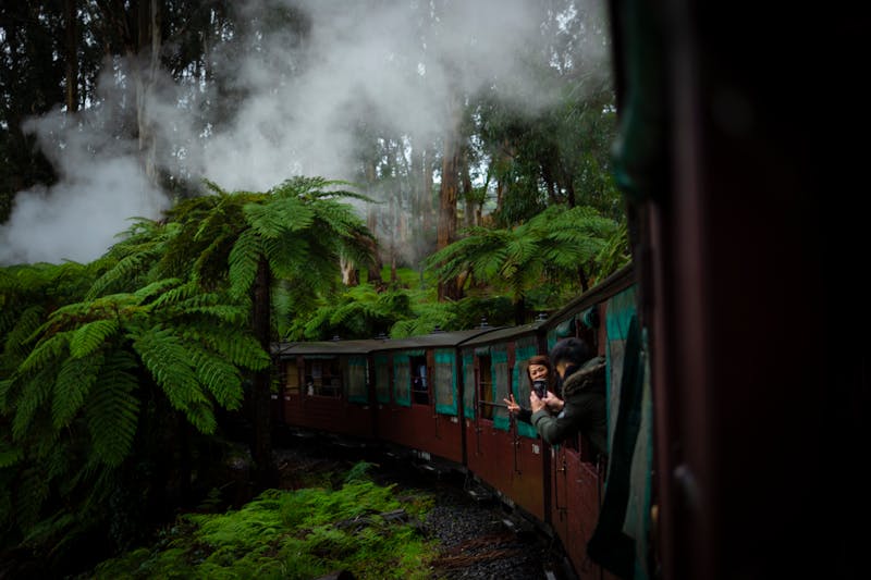 Treno panoramico attraverso la foresta a Belgrave, Australia