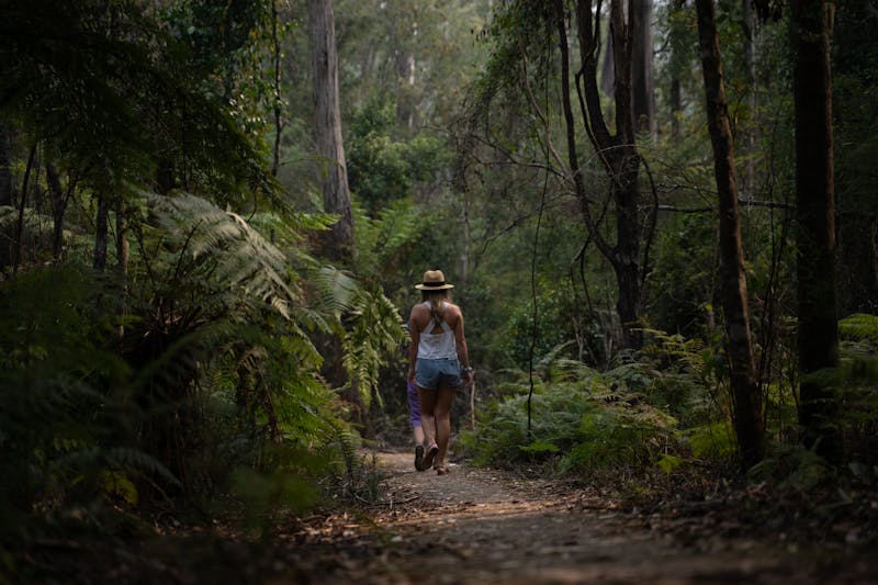 Escursionista con zaino attraversa un sentiero nella foresta pluviale tropicale